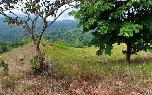 Rolling hills & mountain views… Linda Beach