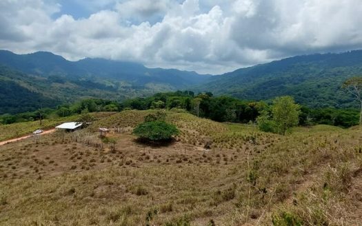 Quepos>Savegre For Sale 29986 | RE/MAX Costa Rica Real Estate