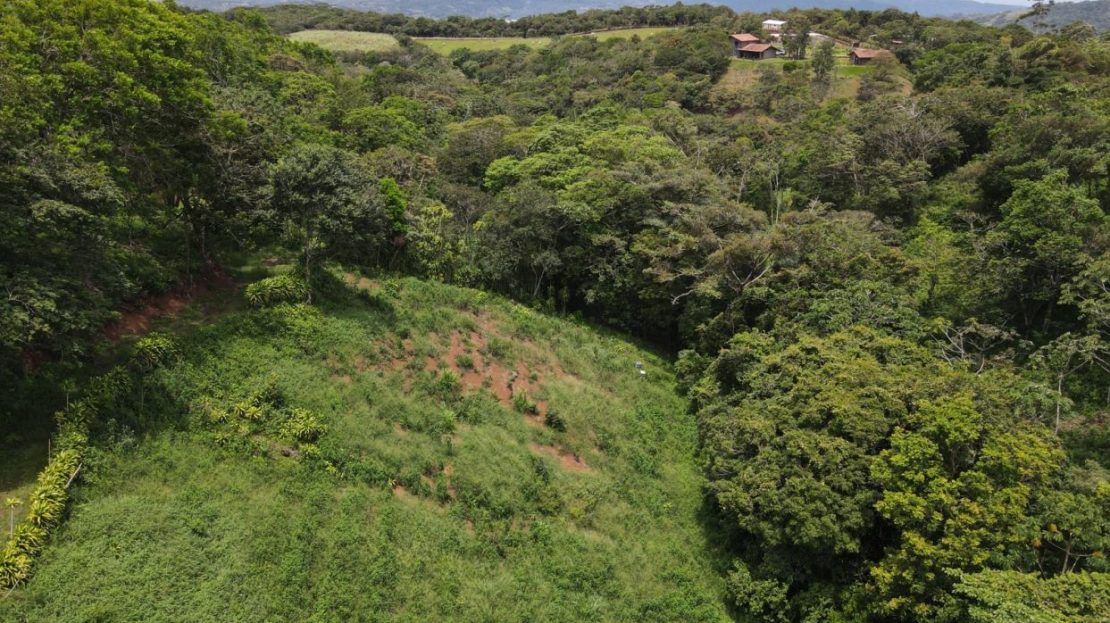 Ideal for Development