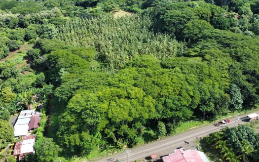 FINCA – LABRADOR SAN MATEO