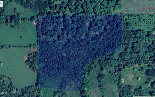 San Mateo For Sale 25415 | RE/MAX Costa Rica Real Estate