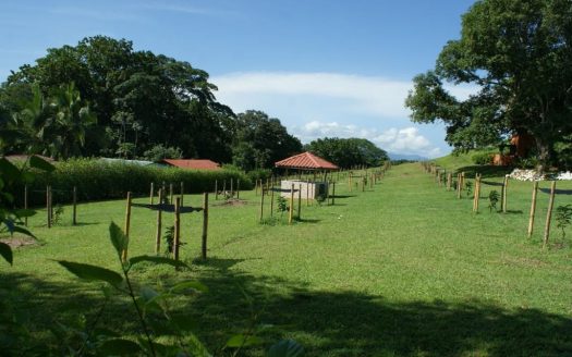 Unique Opportunity! 14 Hectare Farm with Fruit Trees and Cattle Ranching