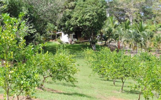 Tarcoles For Sale 23141 | RE/MAX Costa Rica Real Estate