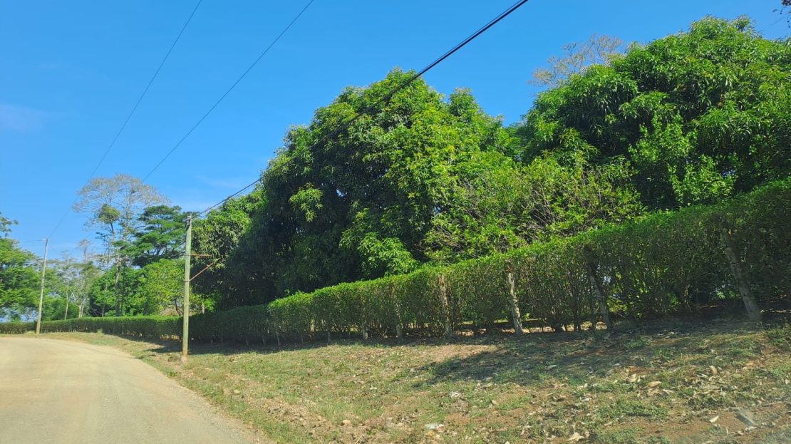 Tarcoles For Sale 24016 | RE/MAX Costa Rica Real Estate