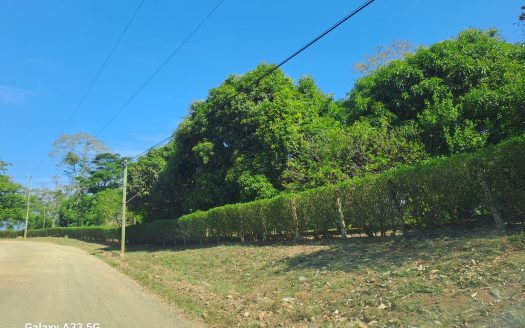 Tarcoles For Sale 24016 | RE/MAX Costa Rica Real Estate
