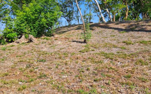 LOT WITH PANORAMIC OCEANVIEW – TARCOLES-PUNTARENAS