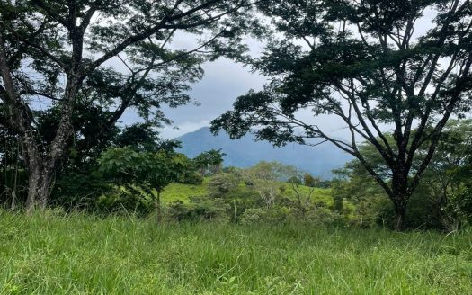 Unique Property for Sale in the Heart of Turrubares – 11 Hectares with Stunning Views