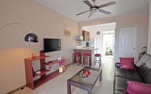 Turn-Key Investment Property for Sale in the Mountains of Grecia, Costa Rica