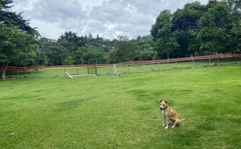 Costa Rica Real Estate