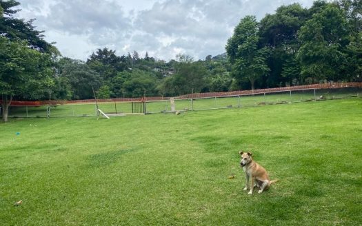 Sale of a lot surrounded by mountains, Escazú