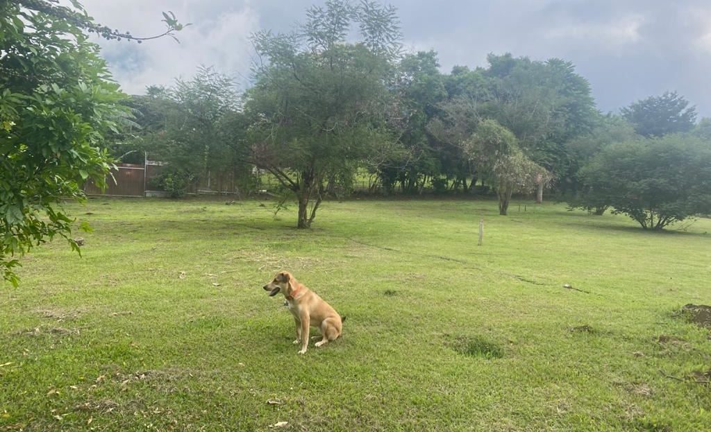 Sale of a lot surrounded by mountains