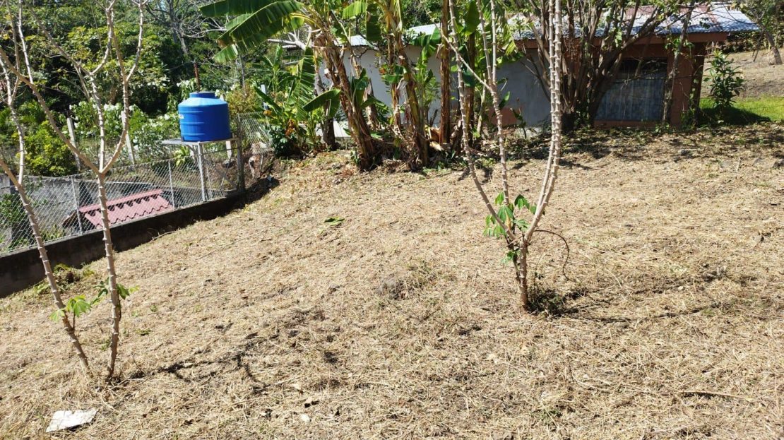 472m2 lot on the Atenas radial pass to town center ideal for mixed zoning