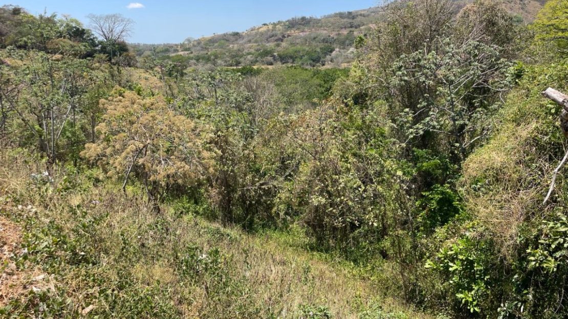 Costa Rica Real Estate