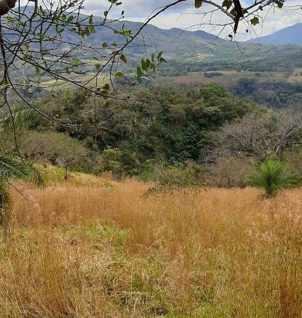 Costa Rica Real Estate