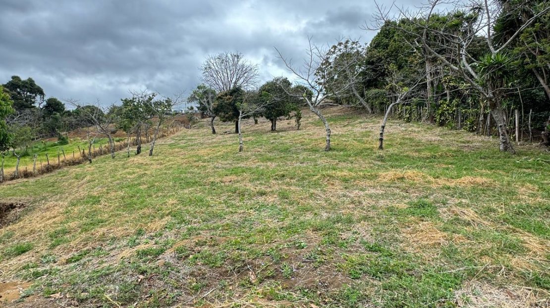 Santa Bárbara