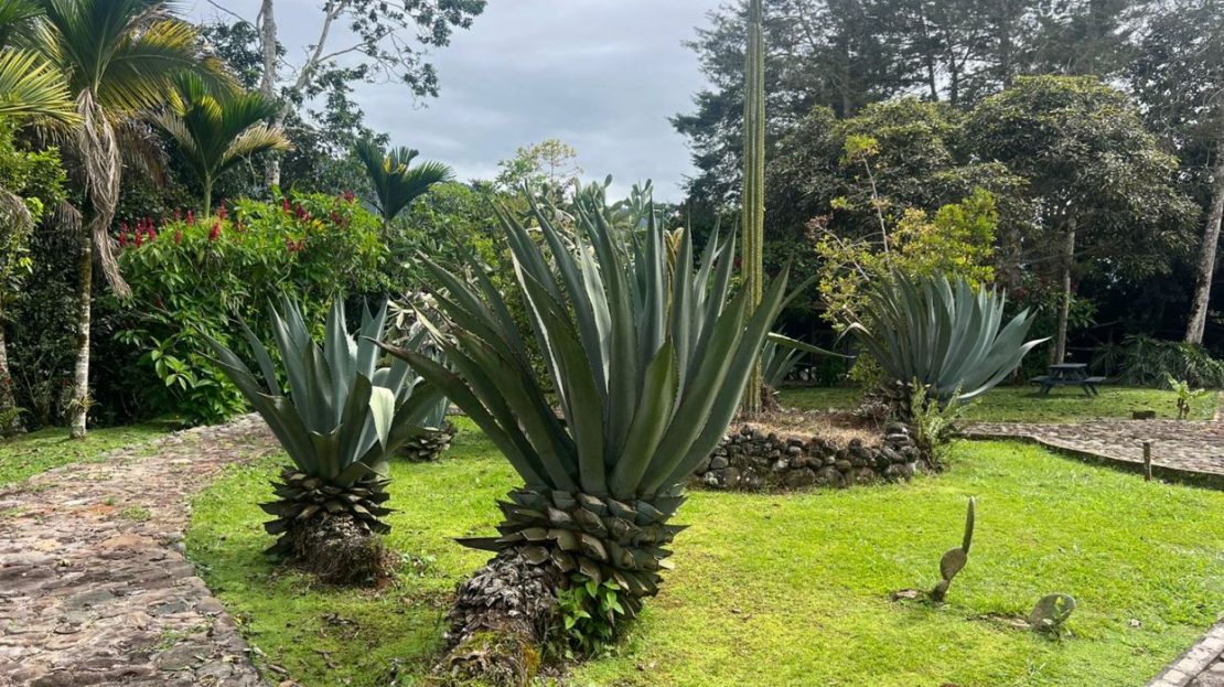 recreation or personal rest in La Suiza