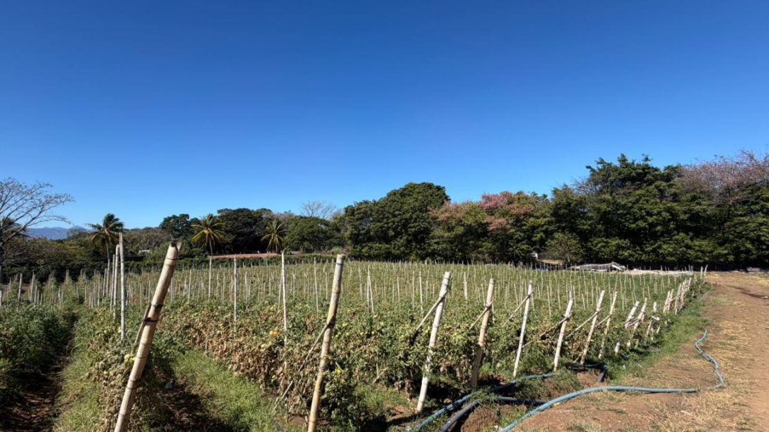 Great Investment Opportunity 