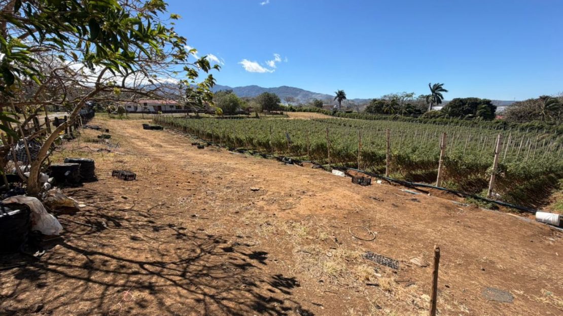 Costa Rica Real Estate