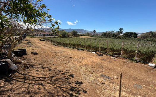 Great Investment Opportunity