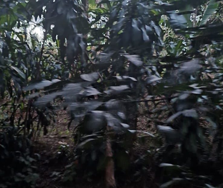 321 m² lot for sale | Barrio San Rafael