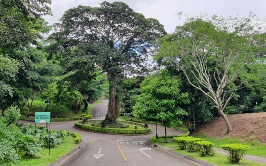 Premium Lot at Hacienda Los Bambúes