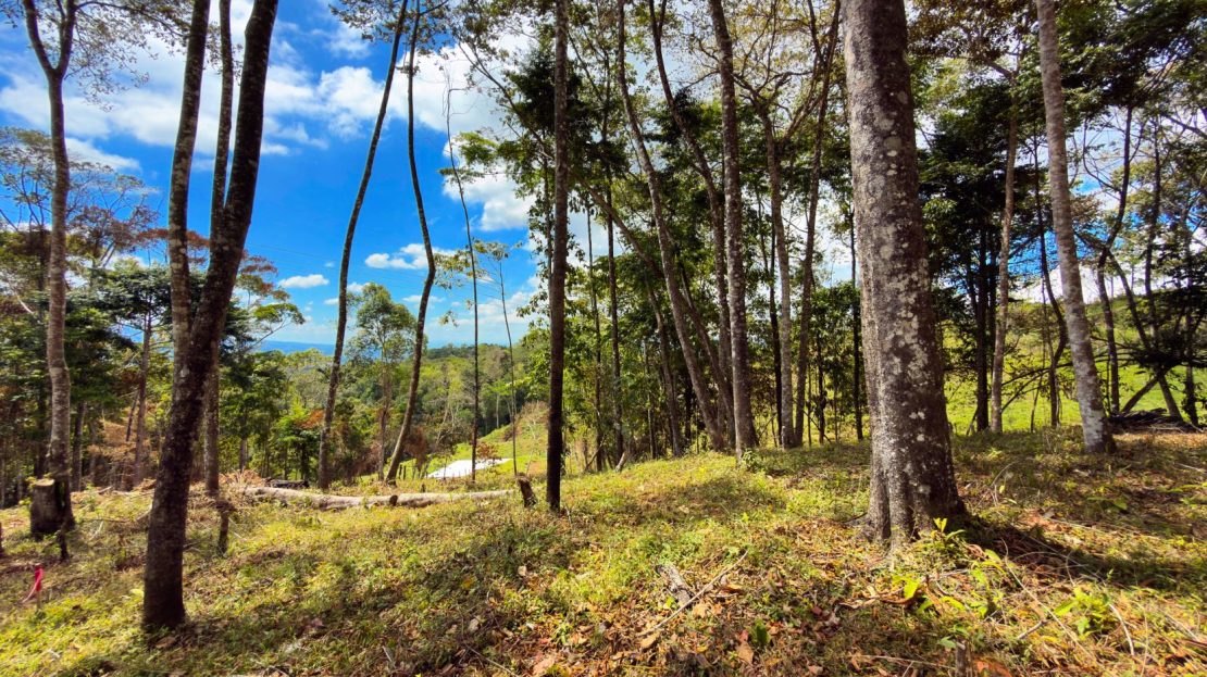 Costa Rica Real Estate