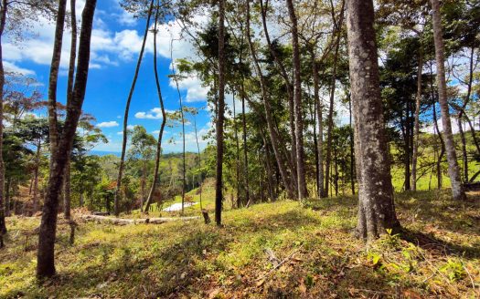 For Sale: Beautiful Mountain 781m2 Residential Lot in Quebradas – CR