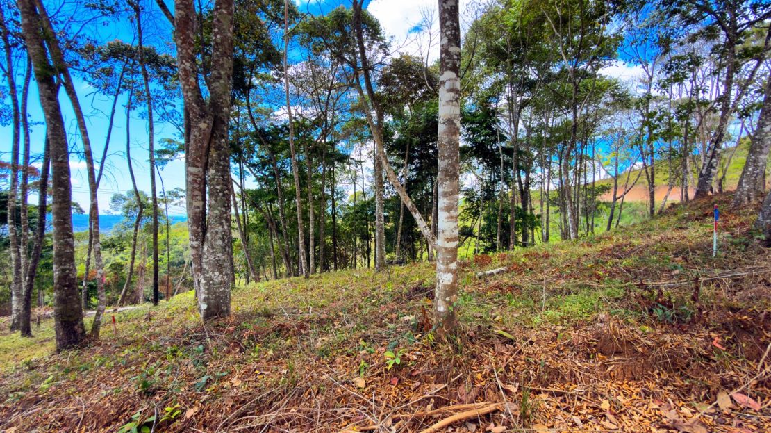 For Sale: Beautiful Mountain 706m2 Residential Lot in Quebradas - CR