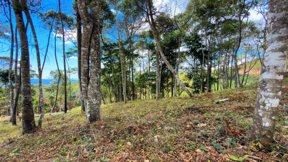For Sale: Beautiful Mountain 781m2 Residential Lot in Quebradas - CR