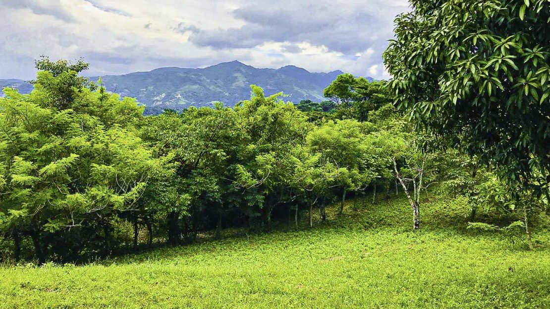 Ciudad Colon Dream Homesite