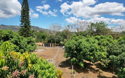 Peaceful 1.10-Acre Lot Surrounded by Nature – Just 10 Minutes from Downtown Atenas