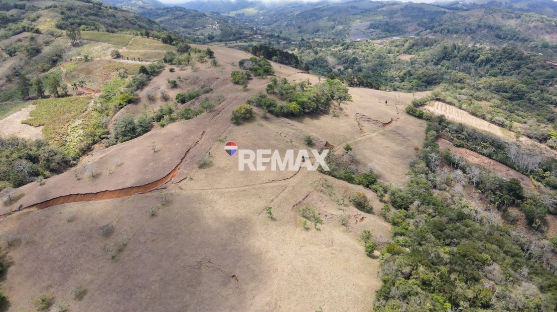 70-Acre Farm for Sale in San Ramón – 10 Mins from Downtown- water springs