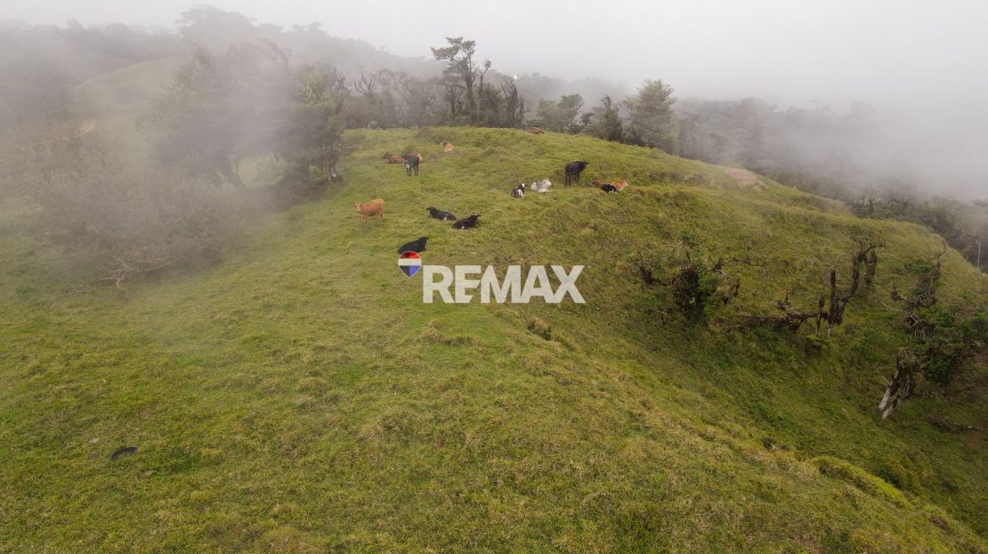 Costa Rica Real Estate