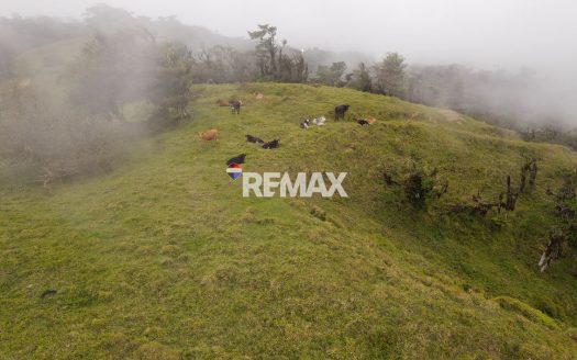 56-Ha Development Land for Sale in San Ramon | 600m Road Frontage | RE/MAX