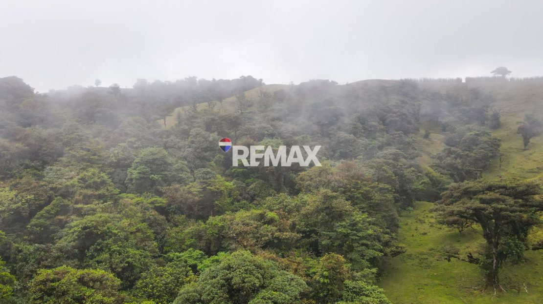 56-Ha Development Land for Sale in San Ramon | 600m Road Frontage | RE/MAX