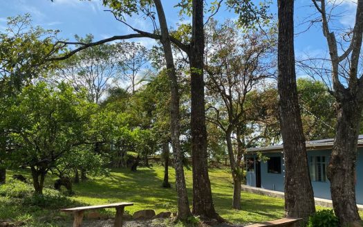 Marbella Sunsets House