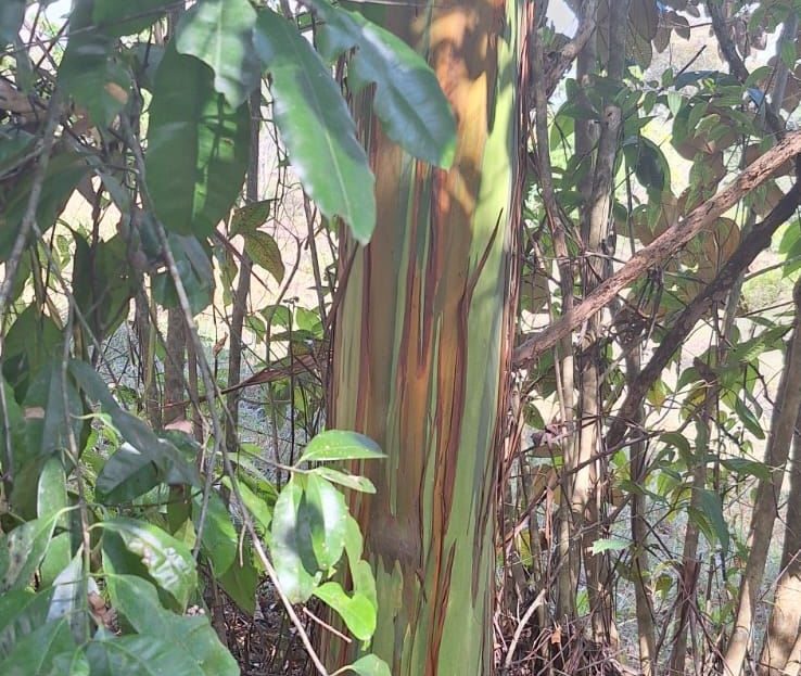 strategically located just 1 km from the main access.