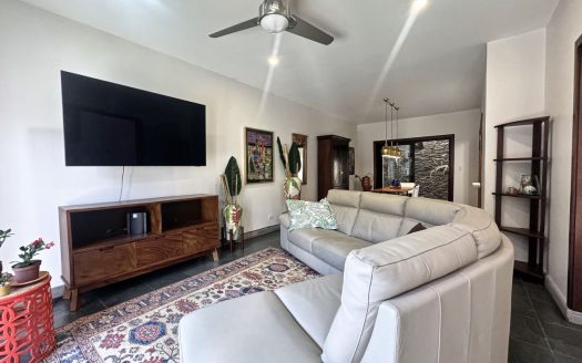 Casa Palmetto Santa Ana Costa Rica Suburban Living