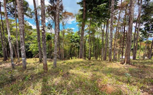For Sale: Beautiful Mountain 730,06m2 Residential Lot in Quebradas – CR