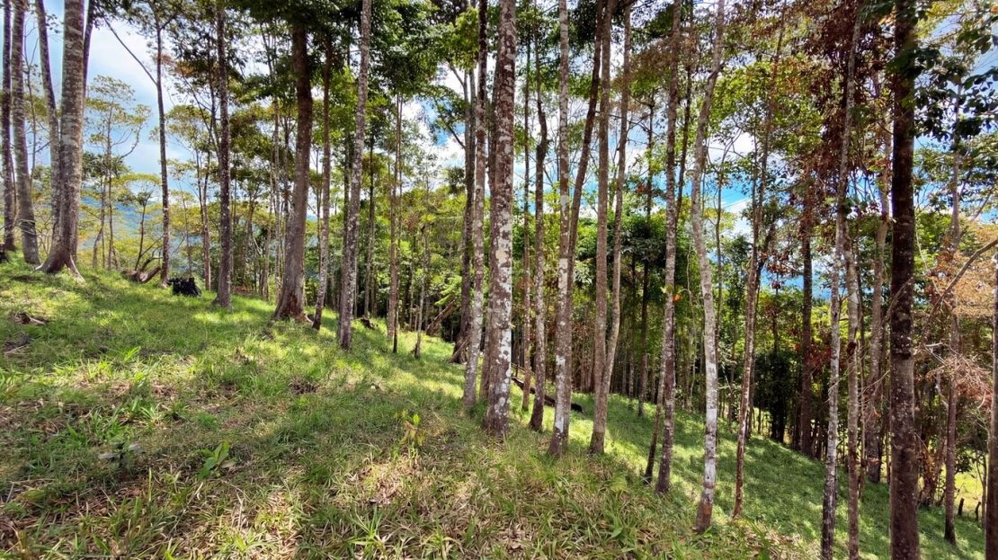 06m2 Residential Lot in Quebradas - CR