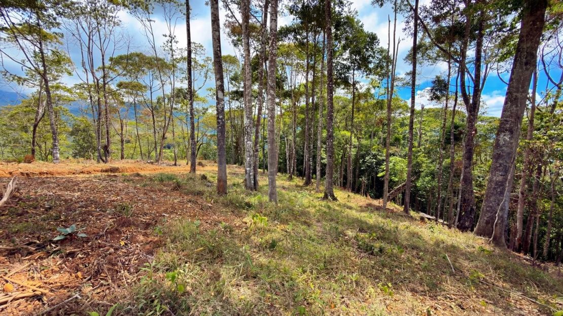 For Sale: Beautiful Mountain 730