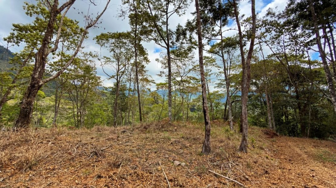 For Sale: Beautiful Mountain 1.414m2 Residential Lot in Quebradas - CR