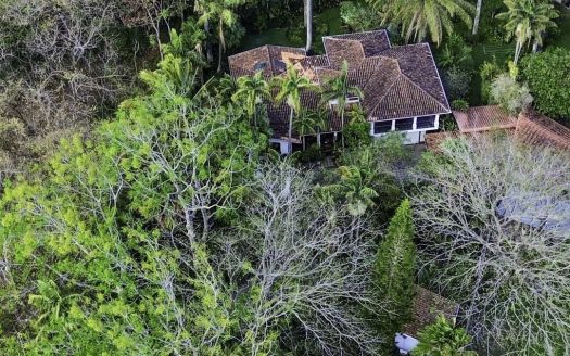 Casa Palm Gardens | Santa Ana Suburban Living