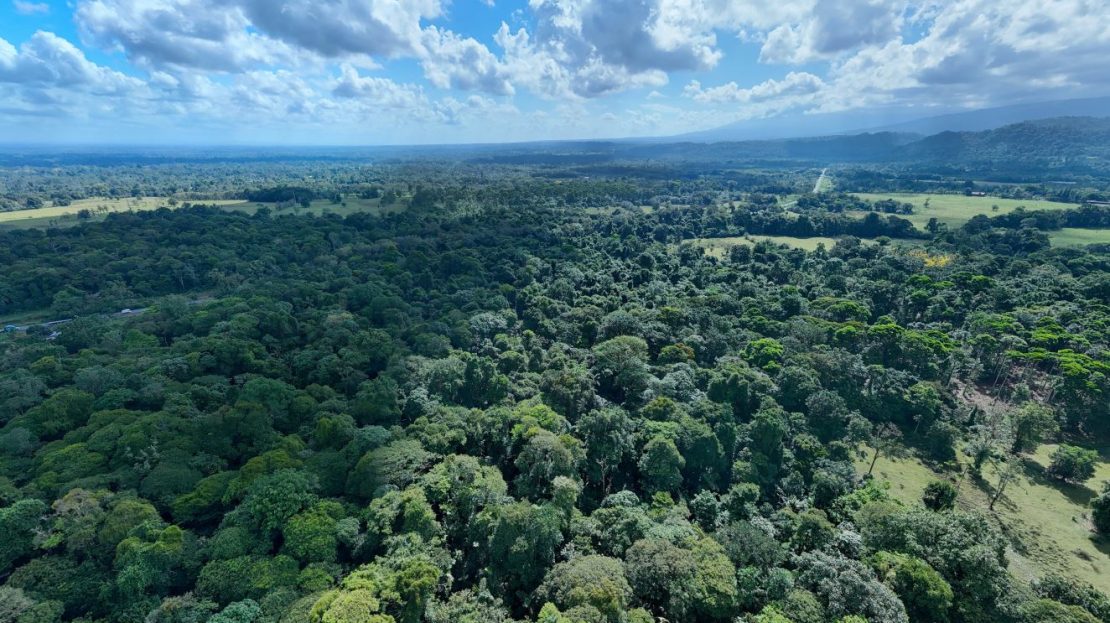Costa Rica Real Estate