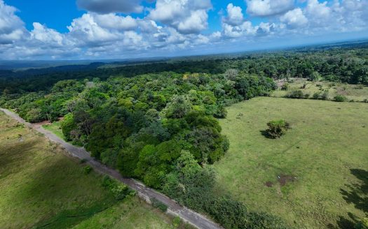 9.6-Acre Estate in Sarapiquí: The Perfect Canvas for a Country Retreat