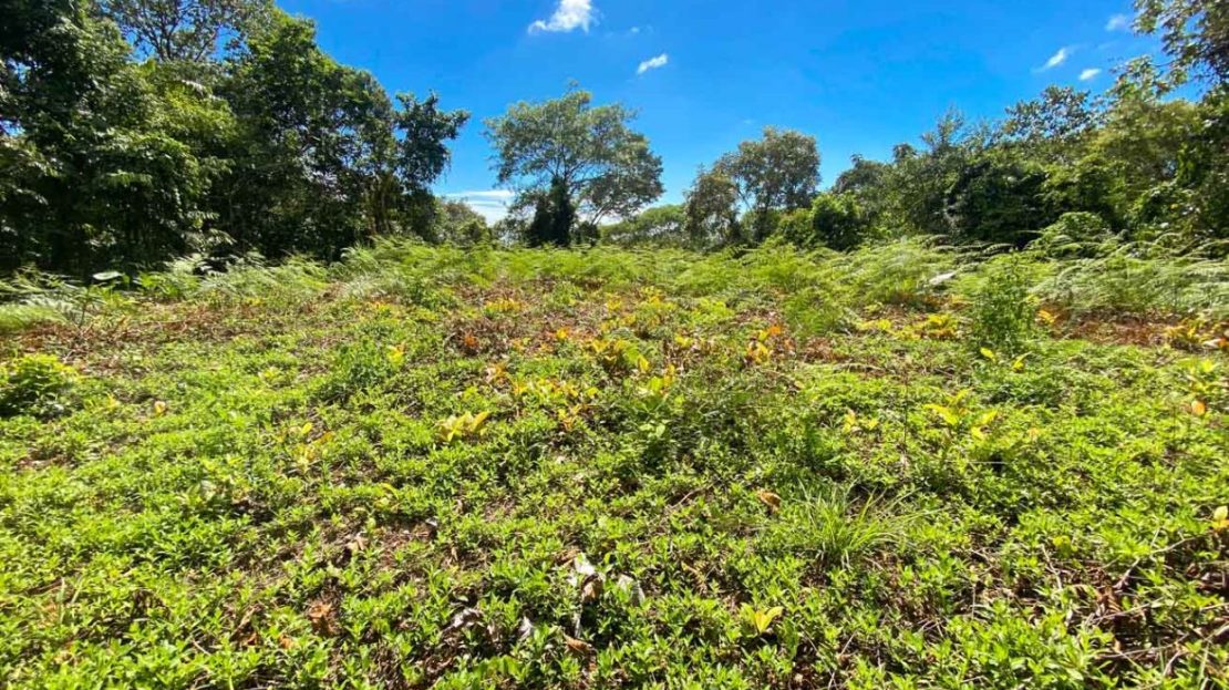 Costa Rica Real Estate