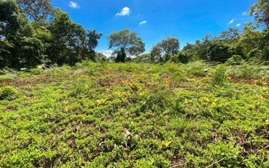 Jungle Lot for Sale in Ojochal With River & Waterfall