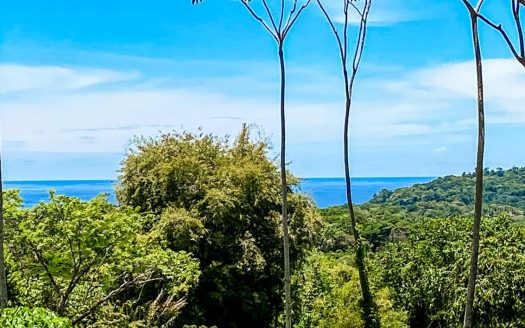 5.75 Acre Land for Sale in Ojochal | Ocean View Development Property