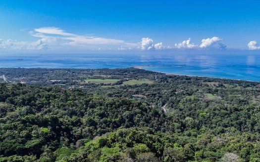 uvita