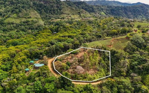 1.5 Acre Ocean & Mountain View Lot Near Uvita | Legal Water & Privacy